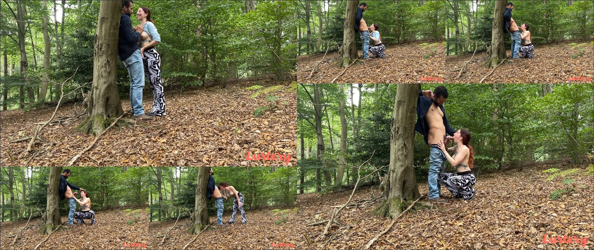 Lustery – E1144 Esluna And Marvin Nature Park BJ (2023-11-30)